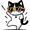 Cool Cat with Yellow Glasses