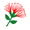 Fleur de Pohutukawa , Nouvelle-Zélande
