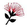 Fleur de Pohutukawa , Nouvelle-Zélande