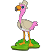 Flamingo Groom Blazer Wedding