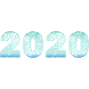 2020