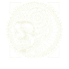 Bicycle Lovers Skull Gears