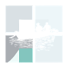 Water Regatta