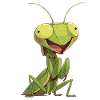 Praying mantises Praying mantis