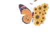 Let your soul blossom