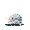 Anatomie Eines Pillenbugs