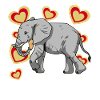 Elephant Elephant Kids Peanut