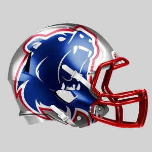 Berlin Bears Helm