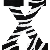 Letter x zebra