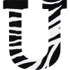 Letter to the zebra