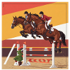 L’art du saut d’obstacles