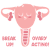 Hysterectomy uterus uterus ovary