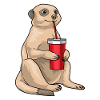 Mug suricate
