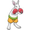 Hase Boxer Boxhandschuhe Boxen