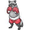 Waschbär Boxer Boxhandschuhe Boxen
