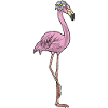 Flamingo Daisy Flowers