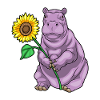 Nilpferd Sonnenblume Blumen