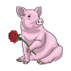Pig Rose Flowers