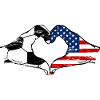 USA Soccer Heart Hands Used