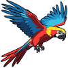 Parrot - Animal Design