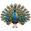Peacock - Bird Sticker