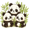 Cute Panda Bamboo Forest