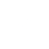 2006 2006 2006