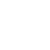 2009 2009 2009