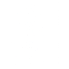 2011 2011 2011