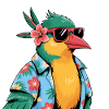 Hummingbird Bird Funny Summer