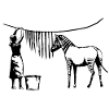 Funny Zebra Stripes