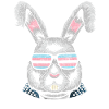 Transgender Trans LGBT Pride