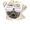 Transgender Trans LGBT Pride
