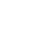 Chat avec chat (Blanc)