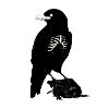 Dark Raven