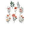 Verschiedene florale botanische Sets