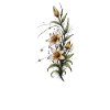 Lily Bloom with Stars