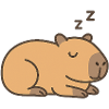 Sleeping capybara
