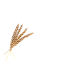 Gruenkernblech2k