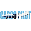 Cargo pilot An-12