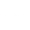 Teckel Club Chien Teckel Animaux