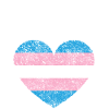 Fierté LGBT transgenre