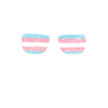Transgender Trans LGBT Pride