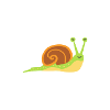Schnecke