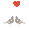 pigeon