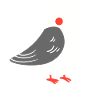 pigeon