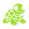 tortoise