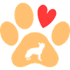 Dog German Shepherd