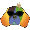 King Einstein