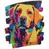 Labrador
